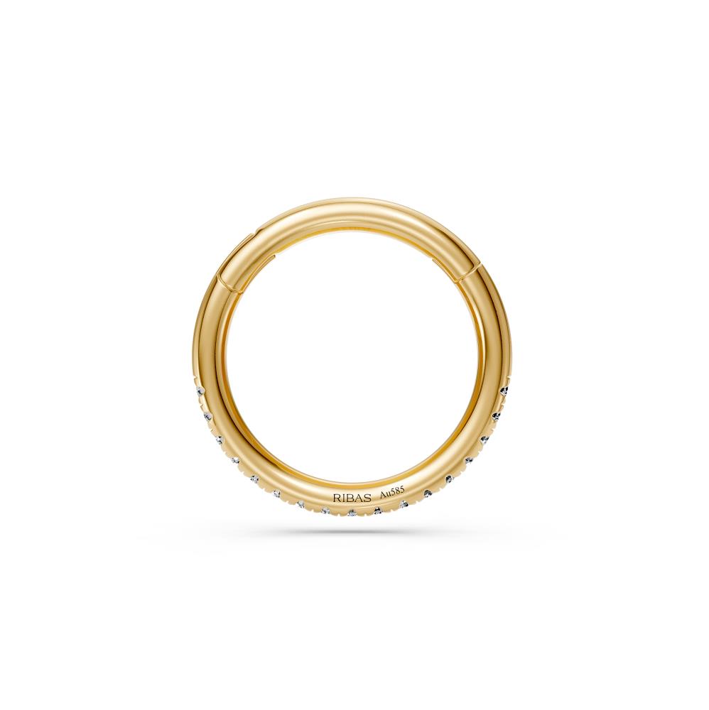 Hoop Earring in Yellow Gold with Diamonds