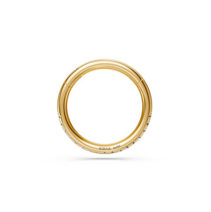 Hoop Earring in Yellow Gold with Diamonds