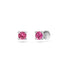 Pink Sapphire Earring in White Gold