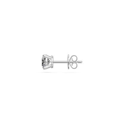 Diamond Stud Earrings in White Gold